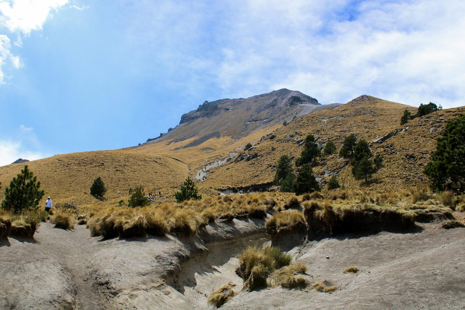 Santa Ana Ilamatepec Volcano Day Hike